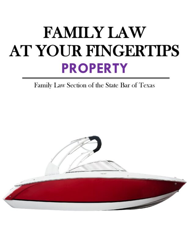 Family Law At Your Fingertips - Property (New August 2026 Edition - Downloadable)